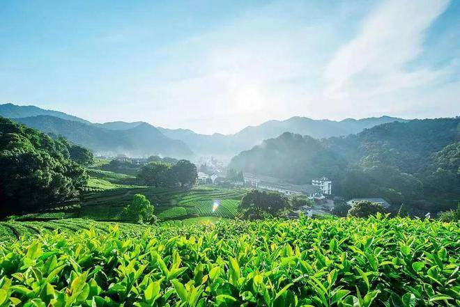 楼处电线网站玉岑山居详情-户型配套PG麻将胡了试玩平台玉岑山居(售(图11)