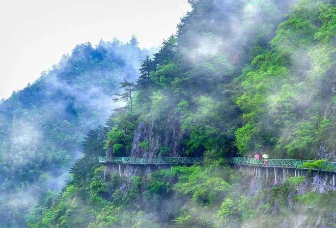 楼处电线网站玉岑山居详情-户型配套PG麻将胡了试玩平台玉岑山居(售(图12)